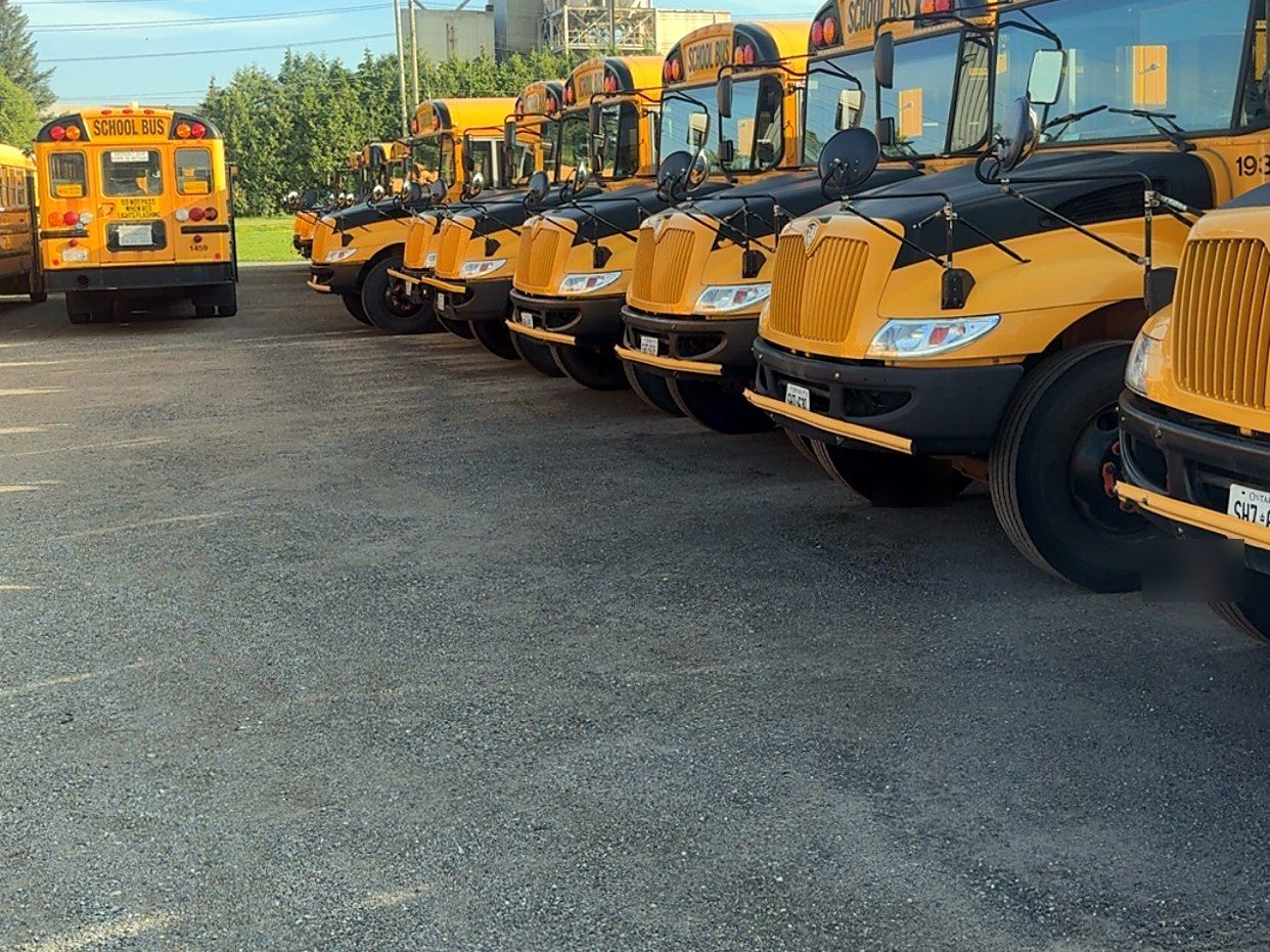 School buses lined up nose to nose